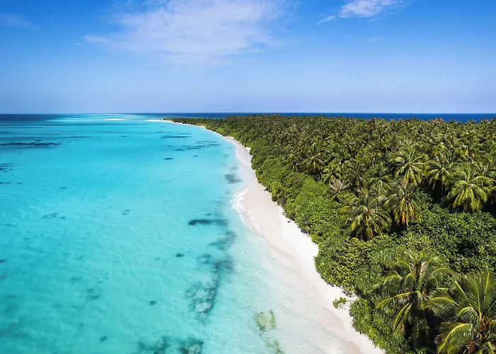 Island Luxury Dive Hotel - Fulhadhoo