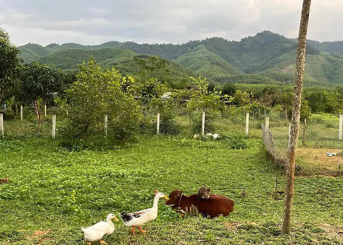 Phong Nha Mini Farm - Nguyen Shack
