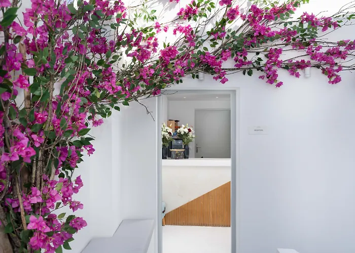 Cycladic Suites & Spa