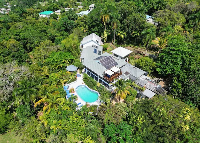 LF Jungle Retreat