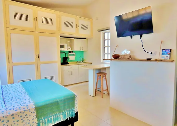 Casa Brisamar , Studios