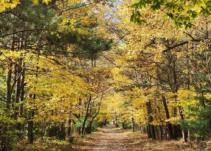 Scenic Drive Resort