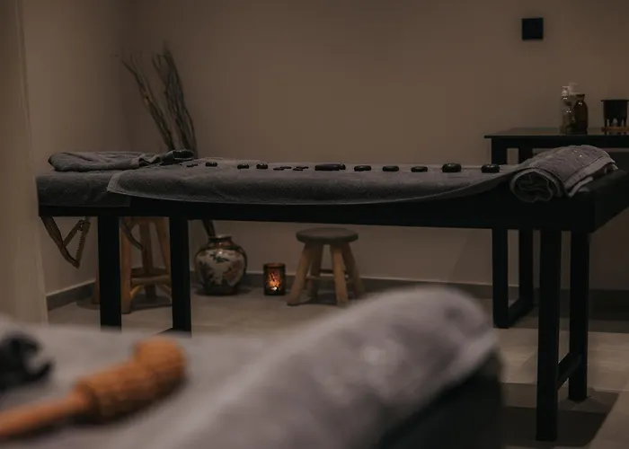 Shizen Wellness Hotel
