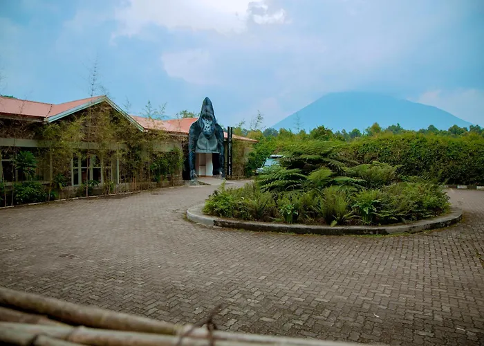 Mountain Gorilla View Lodge