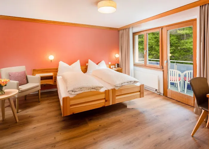 Ski-In/Ski-Out Hotel Sport