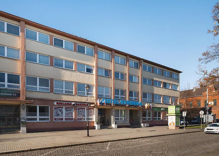 Hotel Veronika