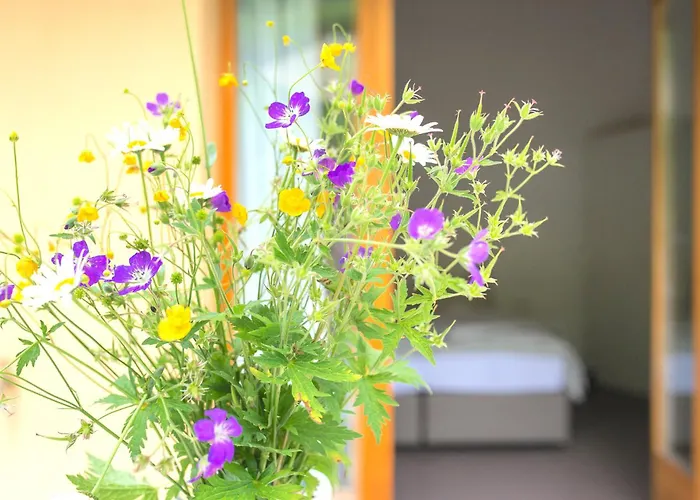 Myverzasca Boutique Hotel