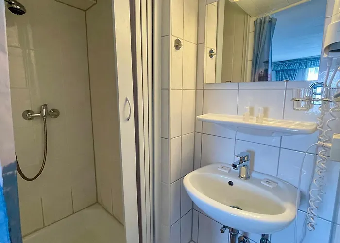 Hotel Gasthof Inselgraben garni