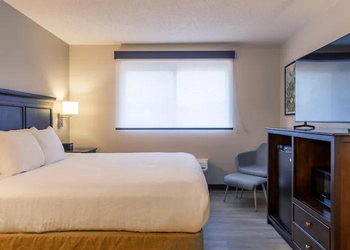 Best Western The Inn At Sharon - Foxboro