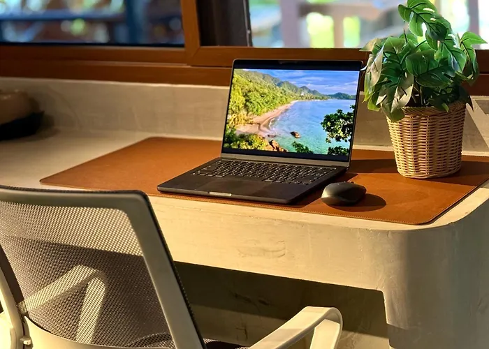 Beach Jungle