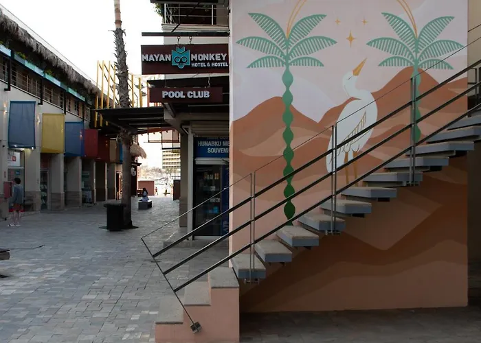Mayan Monkey Los Cabos - Social Hostel (Adults Only)