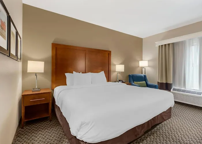 Comfort Inn & Suites Florence Center Area