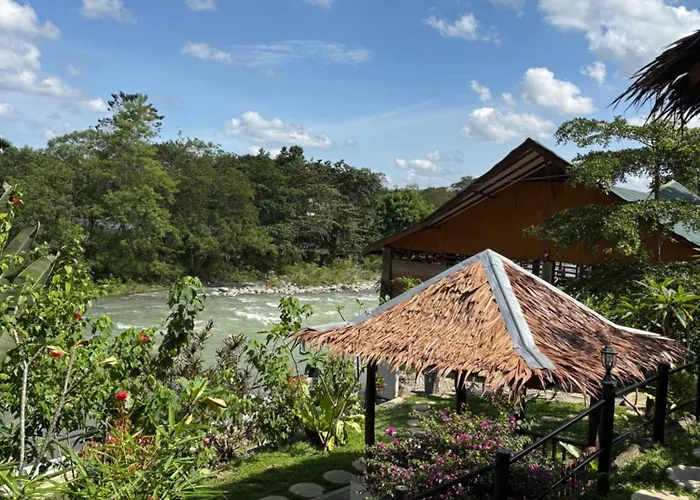 Asim Paris Guesthouse & Jungle Trekking