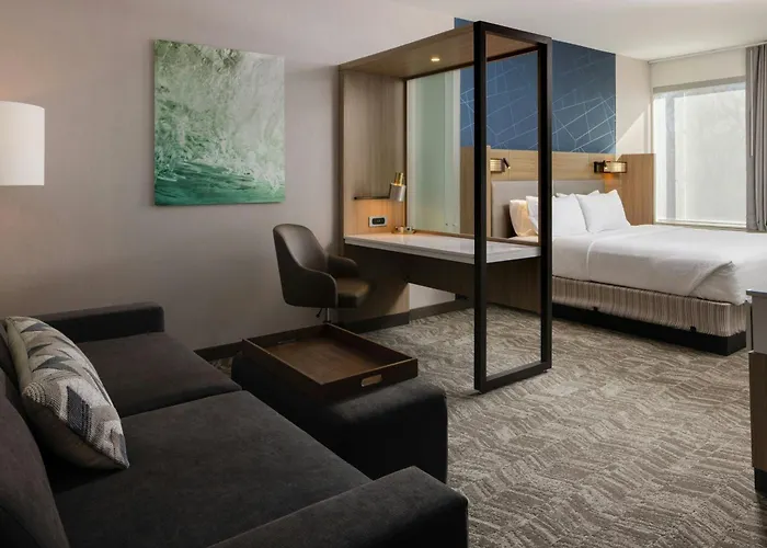 Springhill Suites By Marriott Detroit Sterling Heights