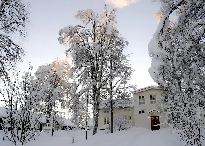 Lapland Nature And Health