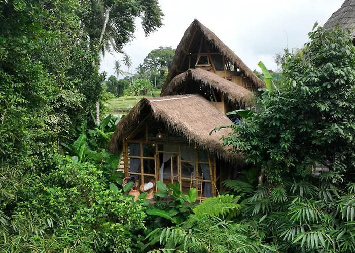 Lazy Coconut Bali