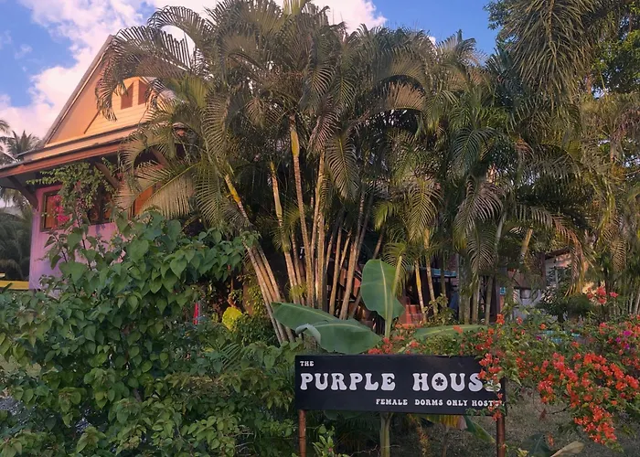 Purple House - Female Only Boutique Hostel