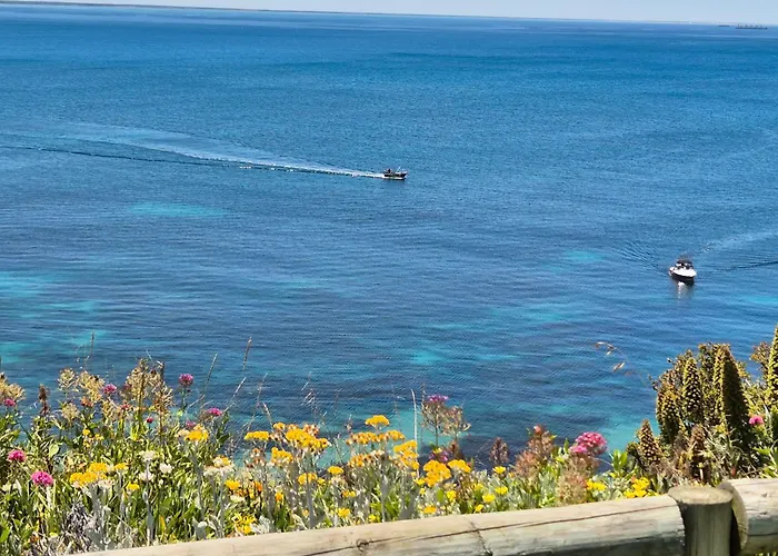 Whaler'S Cove