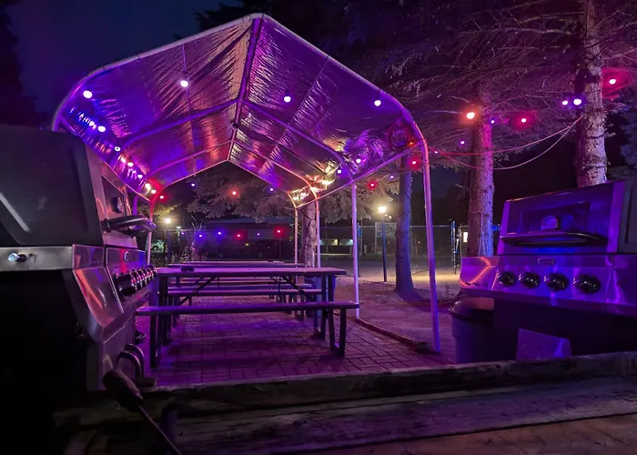 Modern Tiny Wood Cottage 03