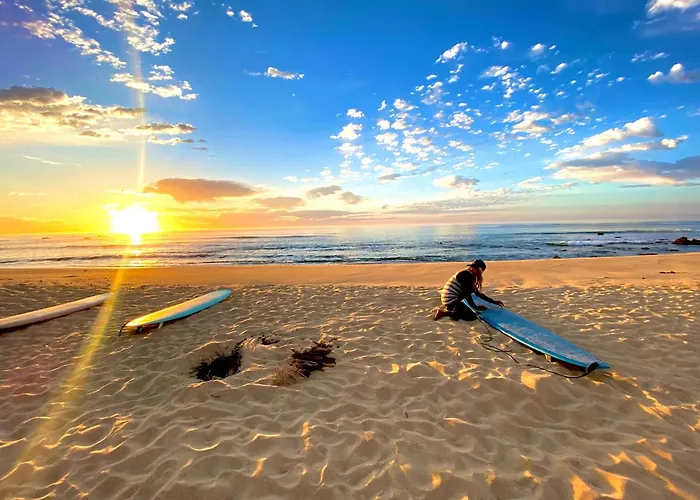 Aloha Surf Hostel