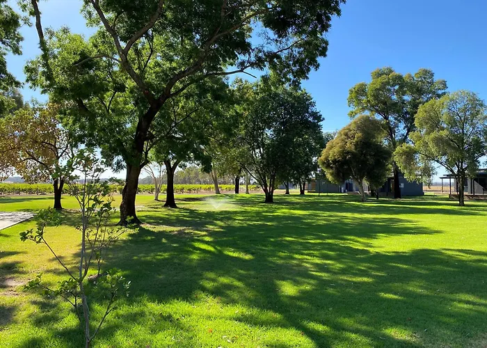 Buller Wines