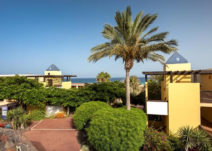 Occidental Jandia Playa