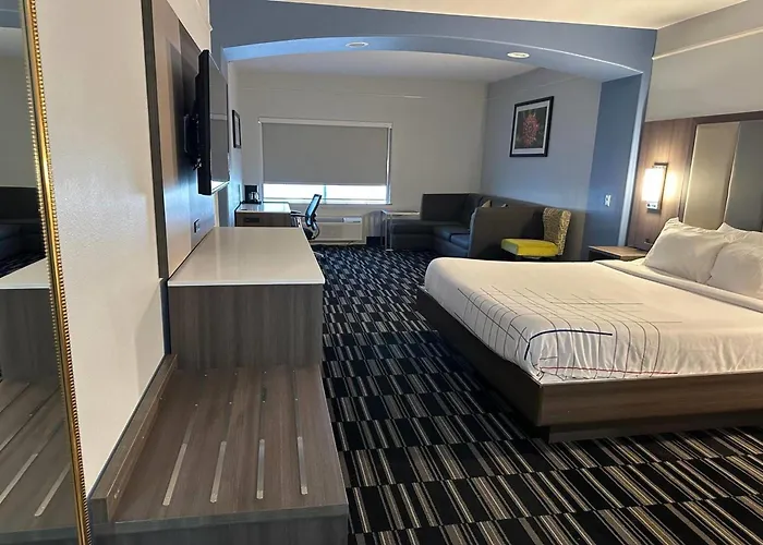 La Quinta By Wyndham Alamo-Mcallen East