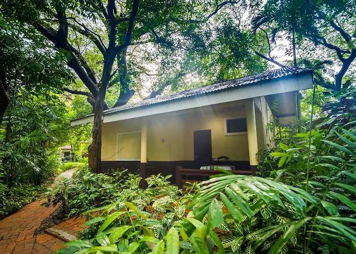 Lisland Rainforest Resort