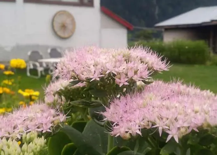 Sky View Resort Shogran