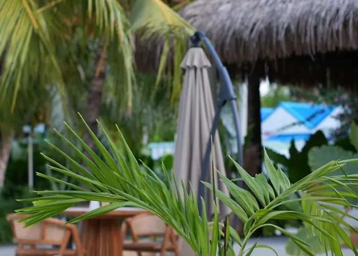Palma De Maldives