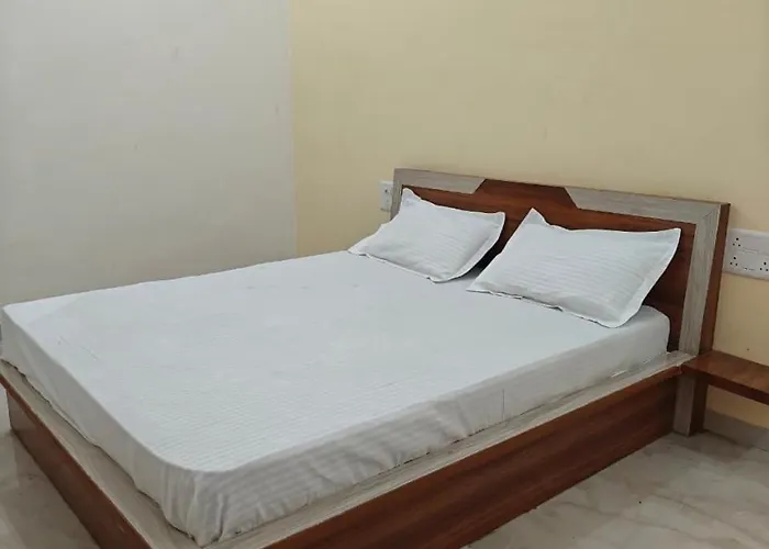 Hotel Ankit Palace