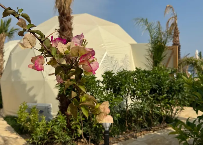 Lamoya Suites