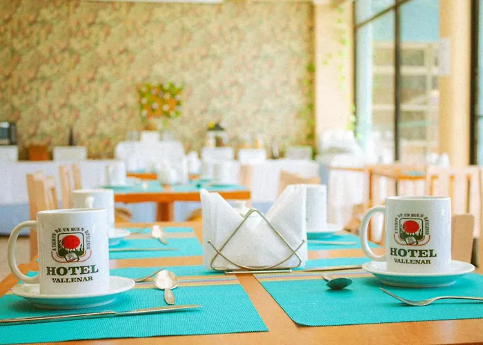 Hotel Vallenar