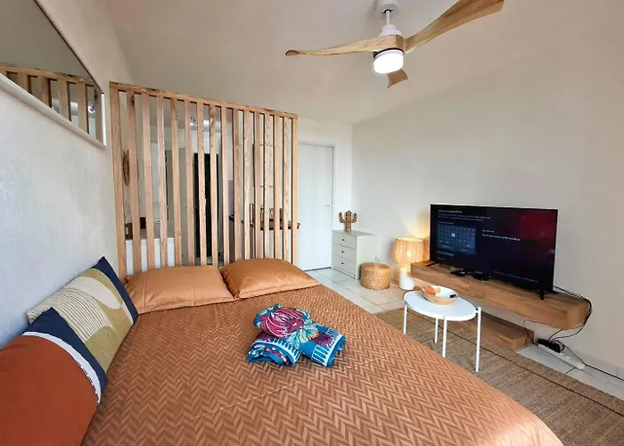 Le Petit Bali - Studio De Standing Avec Wi-Fi & Tv, Proche Tramway