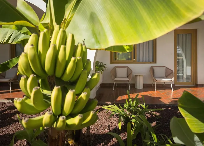 Radisson Resort & Residences Tenerife - Adults Only