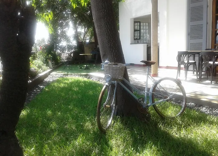 The Citizen