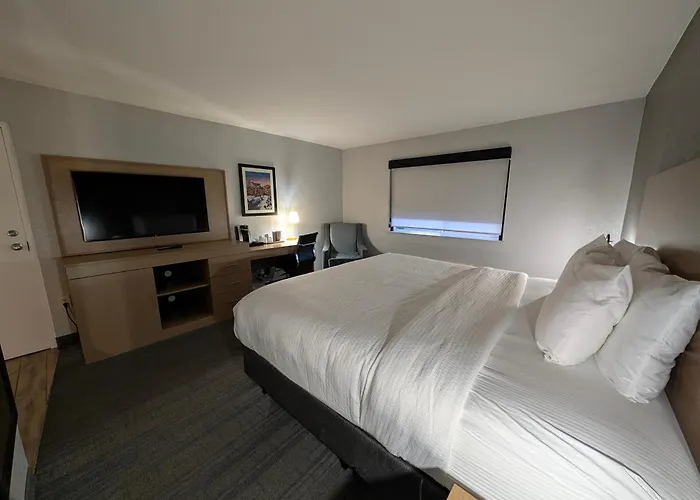Comfort Inn & Suites Denver West - Golden
