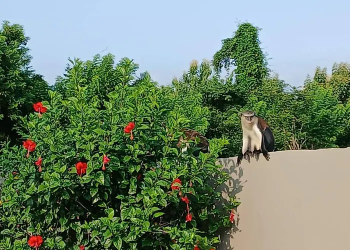 Madora Lodge