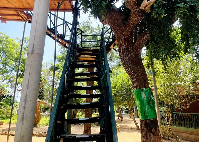 Green Tree House Yala