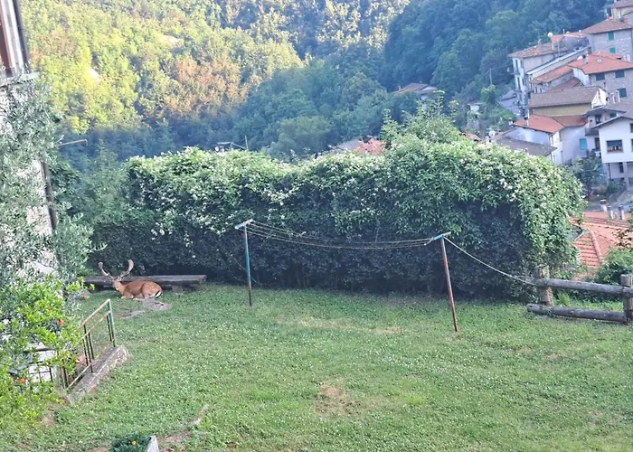 Bellavista