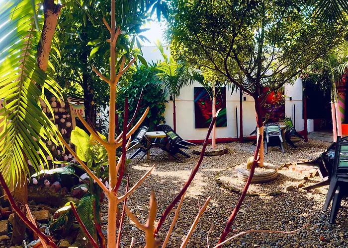 Kmp Garden Retreat & Bar