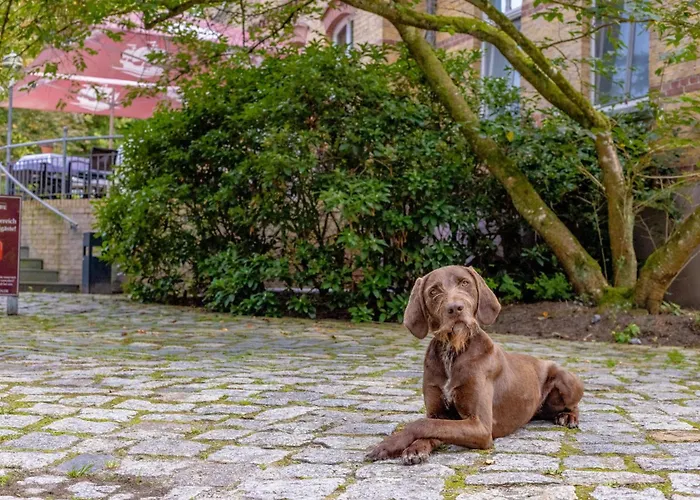 Hotel Schlösschen Sundische Wiese Zingst
