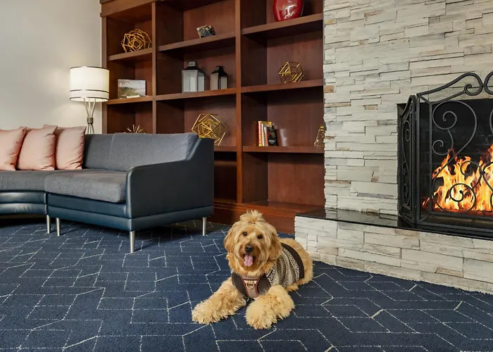 Courtyard By Marriott Montvale
