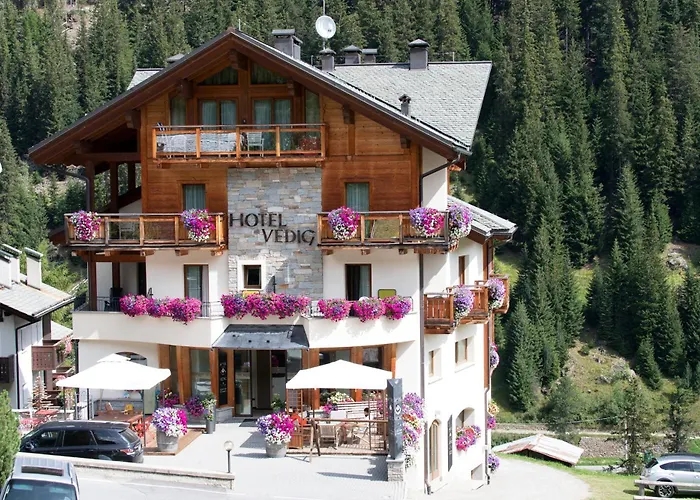 Hotel Vedig