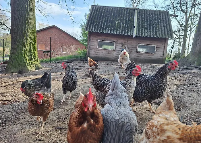 Ferienhof Große Drieling