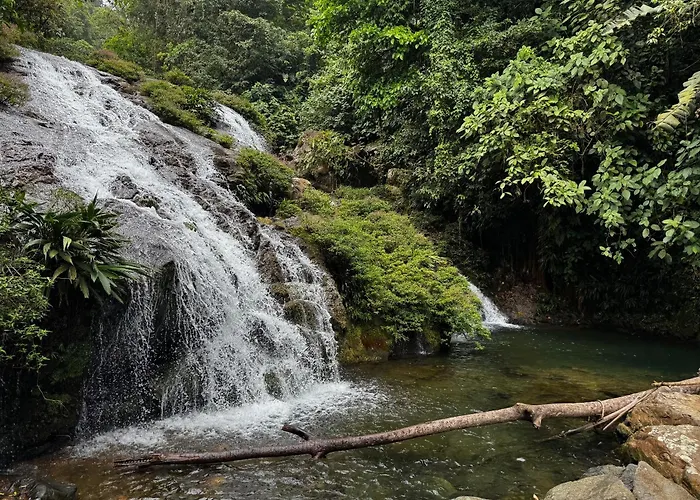 Rainforest Yasmin Hotel