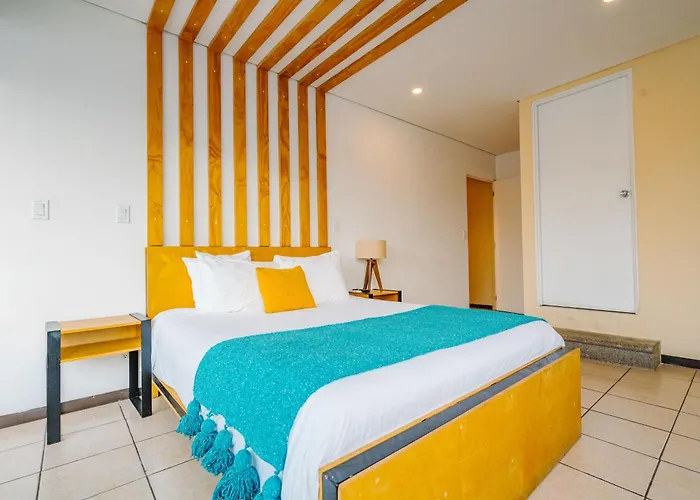 Mayan Monkey Los Cabos - Social Hostel (Adults Only)