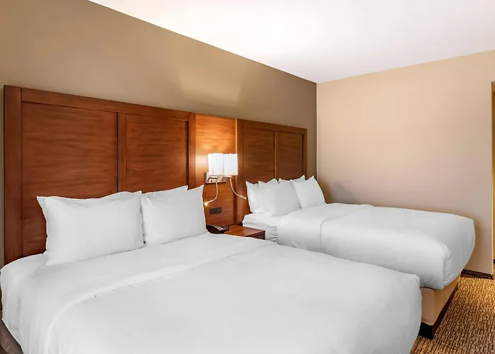 Comfort Inn & Suites Clarkston Pine Knob Area