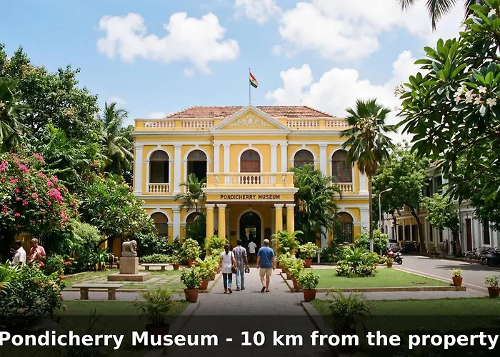 Collection O Auroville Pondicherry