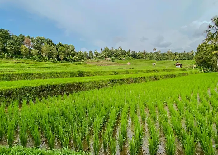 Wimala Farm House